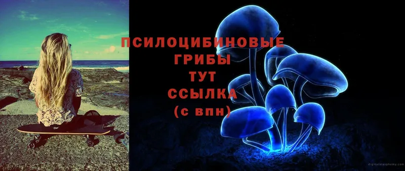 Галлюциногенные грибы Magic Shrooms  Алдан 